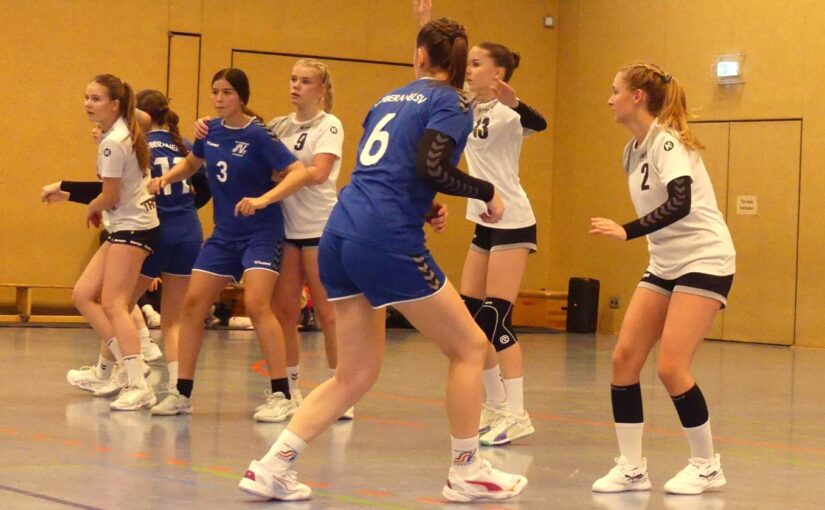 08.11.2025 wJB   Pädagogik – Doberaner SV 43:13 (16:4)